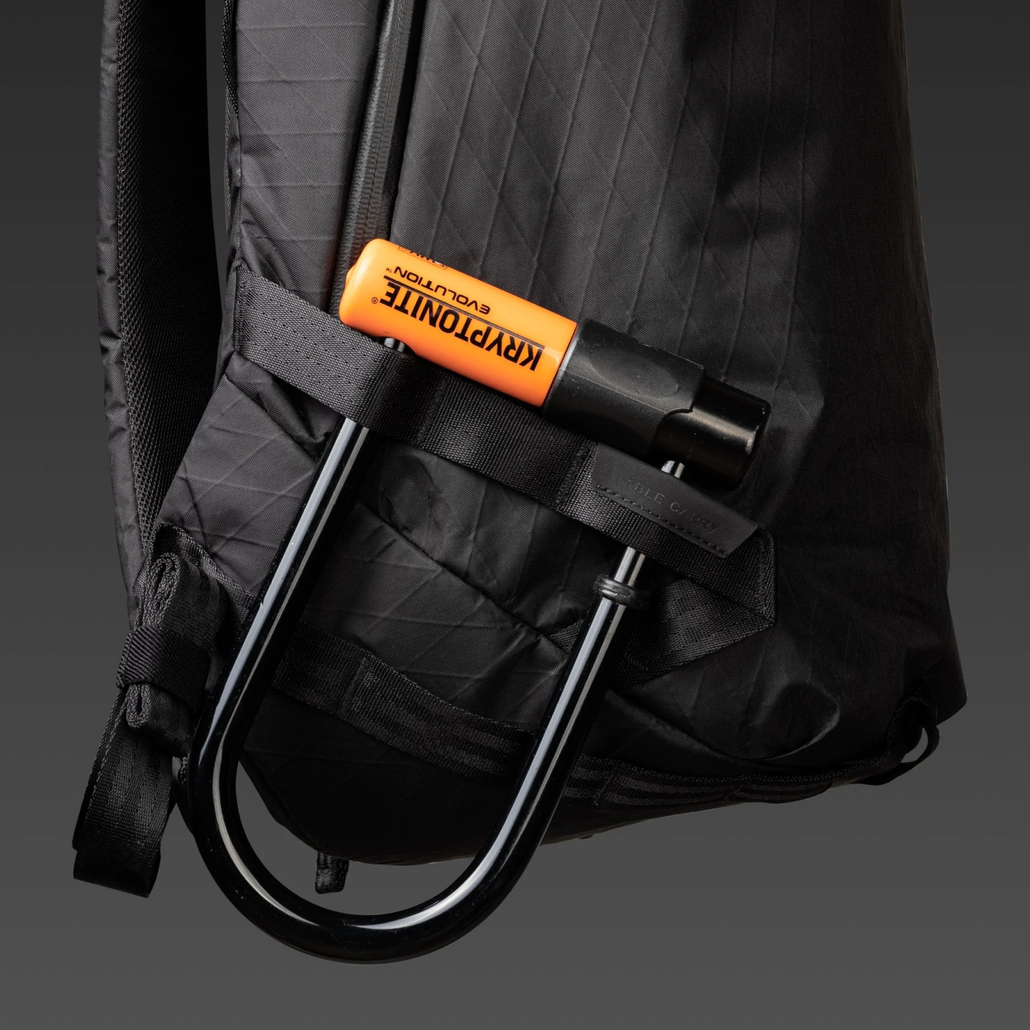 Daily Plus - Image 8