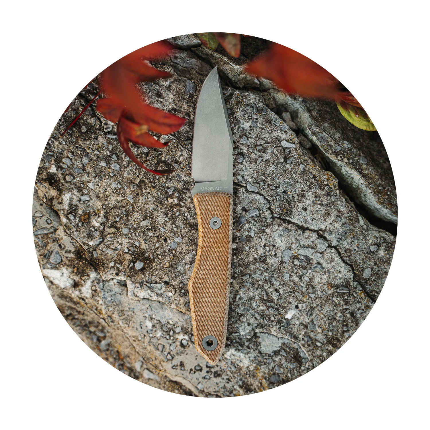 USA Lookout Fixed Blade Knife - Image 11