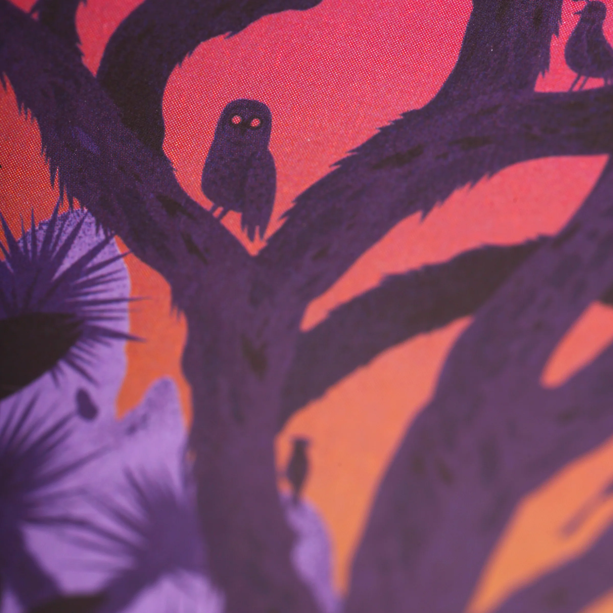 National Parks 3-Pack Memo Book - Image 23