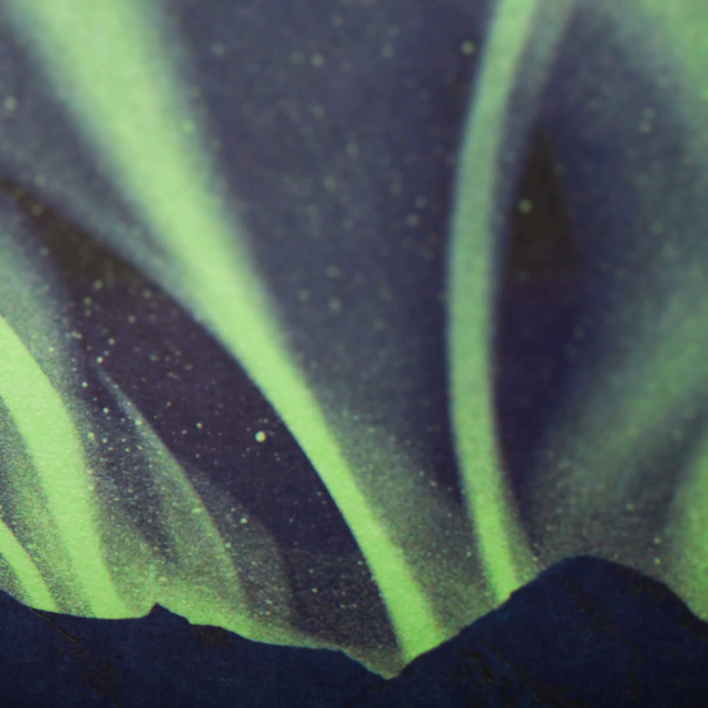 National Parks 3-Pack Memo Book - Image 38