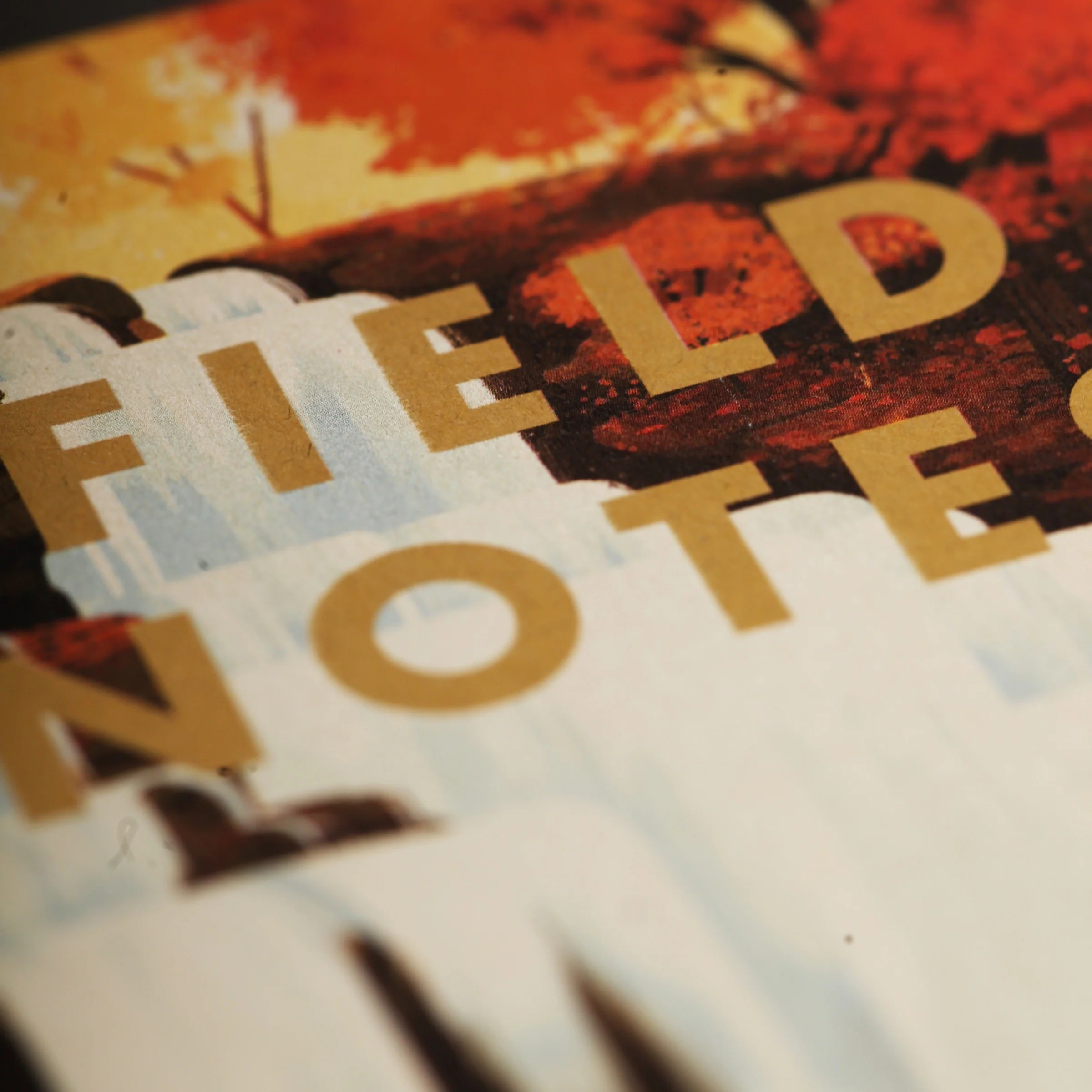 National Parks 3-Pack Memo Book - Image 40