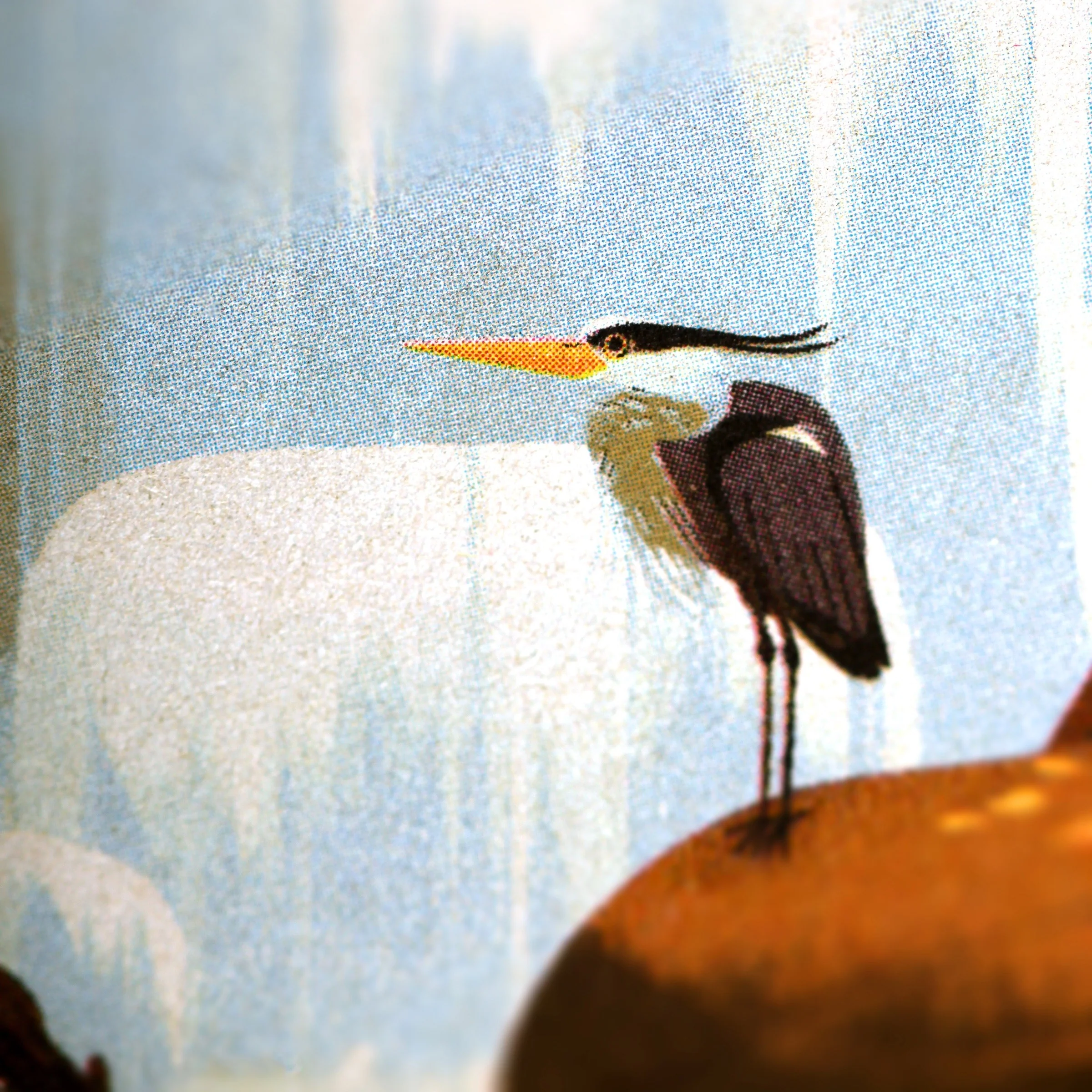 National Parks 3-Pack Memo Book - Image 41