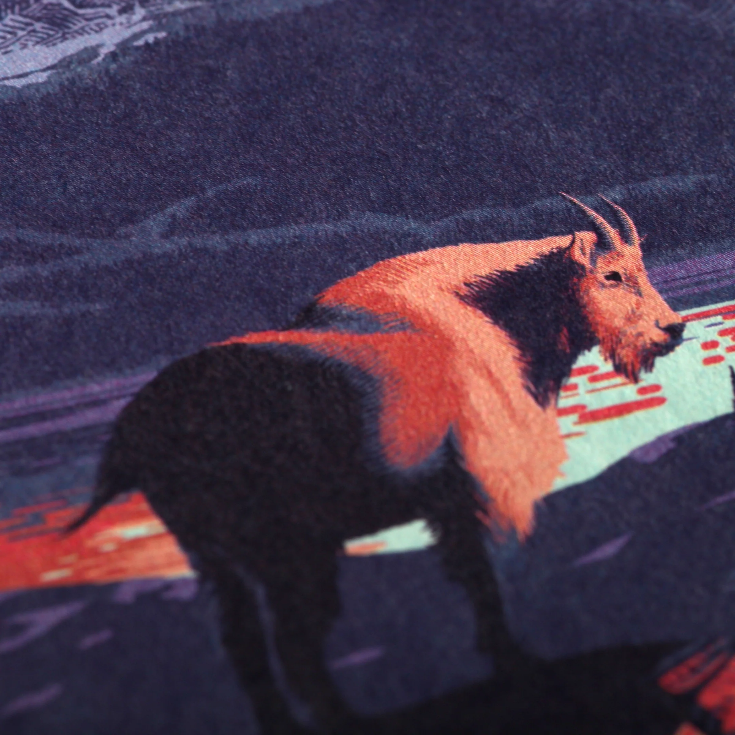 National Parks 3-Pack Memo Book - Image 47