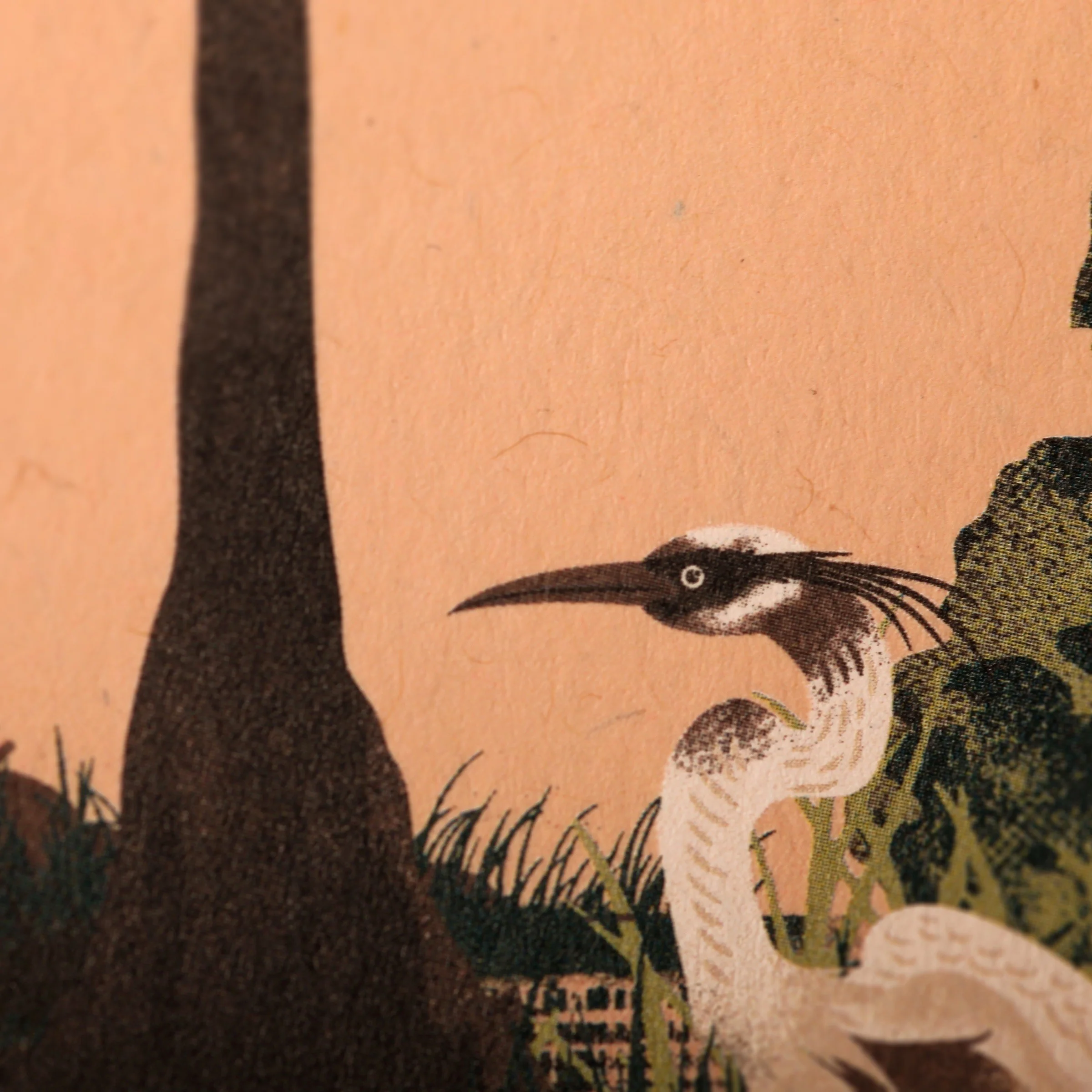 National Parks 3-Pack Memo Book - Image 52