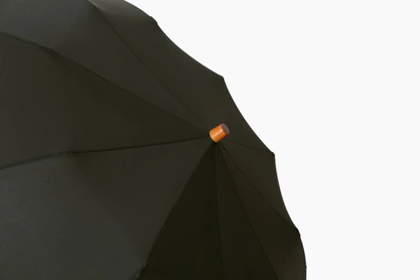 Maple Umbrella - Image 6