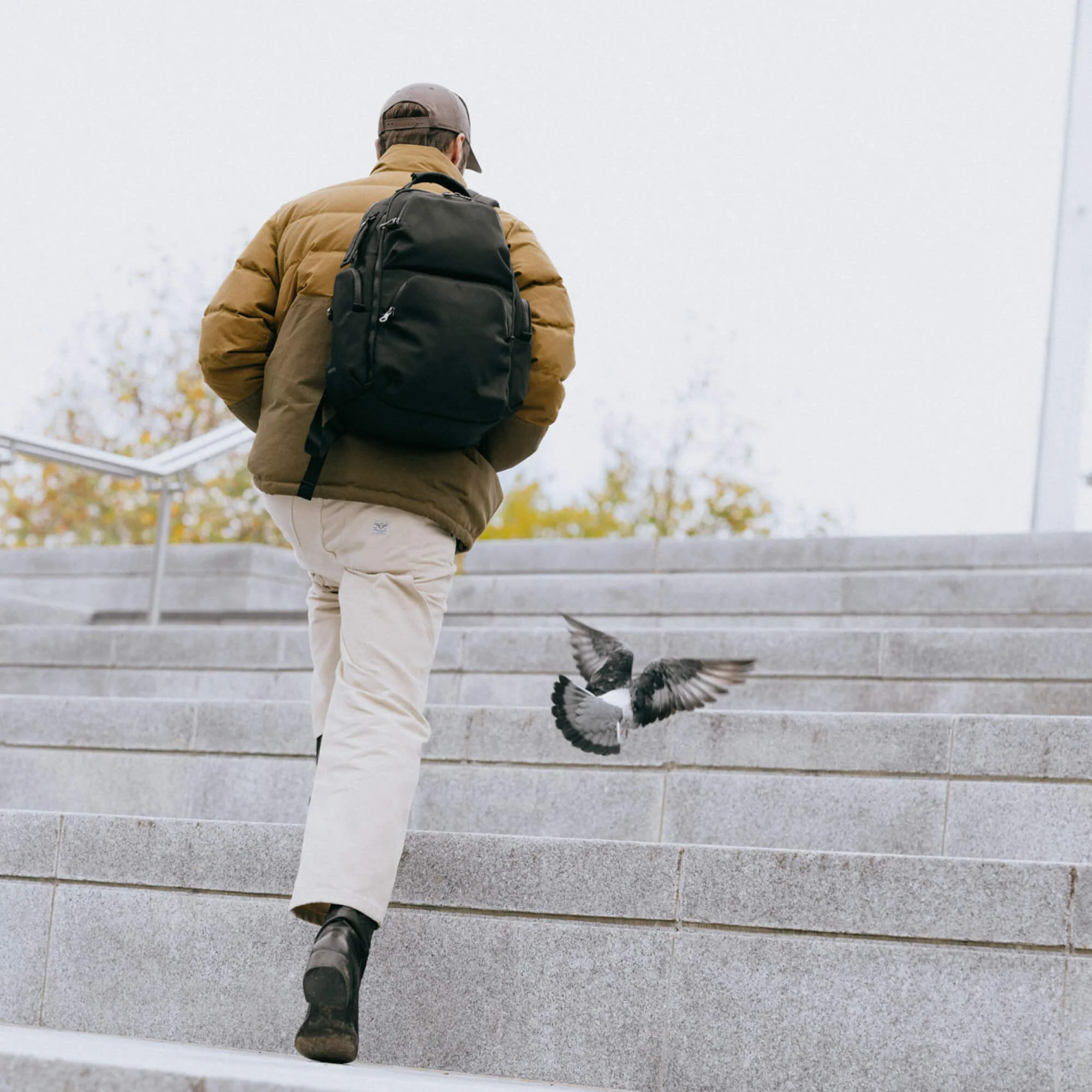 Panda Pack - Image 13